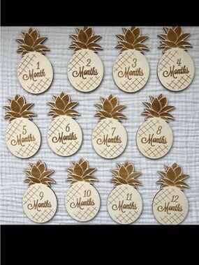 Pineapple Monthly Milestone Discs -